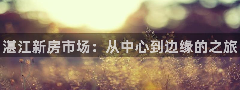 摩登7怎么联系客服：湛江新房市场：从中心到边缘的之旅