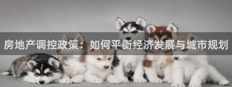 摩登系列摩登7：房地产调控政策：如何平衡经济发展与城市规划
