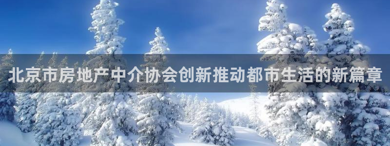 摩登7挂机：北京市房地产中介协会创新推动都市生活的新篇章