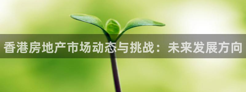 摩登7登录招333OO：香港房地产市场动态与挑战：未来发展方