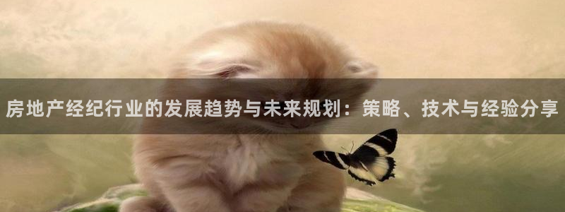 摩登7娱乐平台4：房地产经纪行业的发展趋势与未来规划：策略、