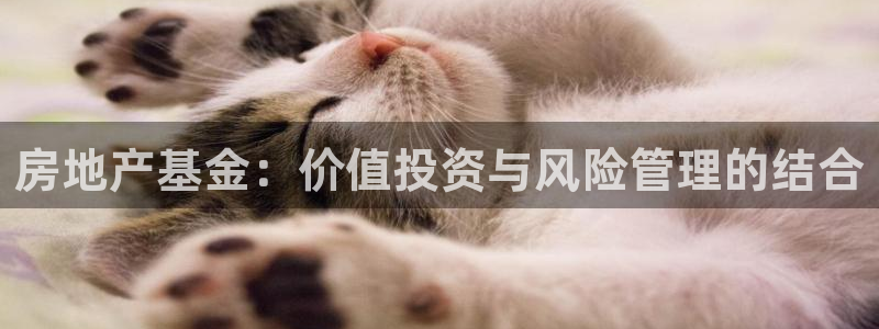 摩登3天7O667：房地产基金：价值投资与风险管理的结合