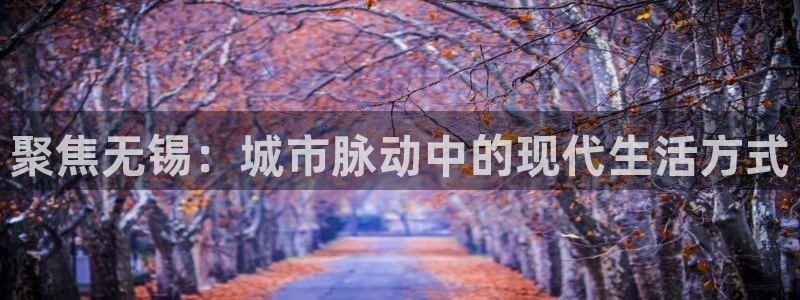 摩登2 7