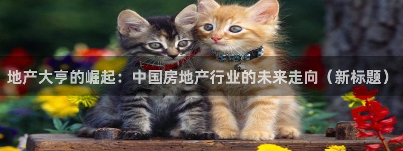 摩登7日3299O7：地产大亨的崛起：中国房地产行业的未来走