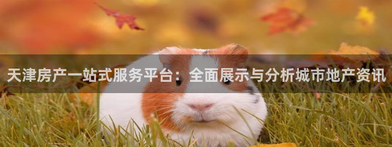 摩登7后3299O7：天津房产一站式服务平台：全面展示与分析