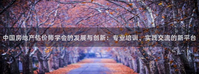 摩登7登录平台注册：中国房地产估价师学会的发展与创新：专业培