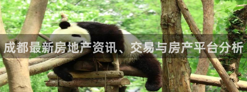 摩登6张7O667：成都最新房地产资讯、交易与房产平台分析