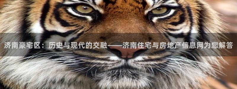 摩登7平台登录网址：济南豪宅区：历史与现代的交融——济南住宅
