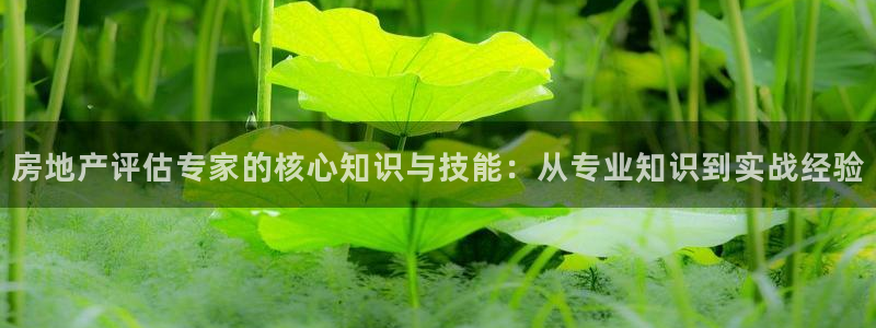 摩登7注册页面：房地产评估专家的核心知识与技能：从专业知识到
