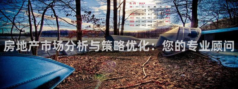 摩登7平台登录下载：房地产市场分析与策略优化：您的专业顾问