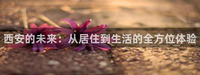 摩登3月7O667：西安的未来：从居住到生活的全方位体验