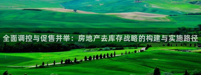 摩登7重工摩登：全面调控与促售并举：房地产去库存战略的构建与