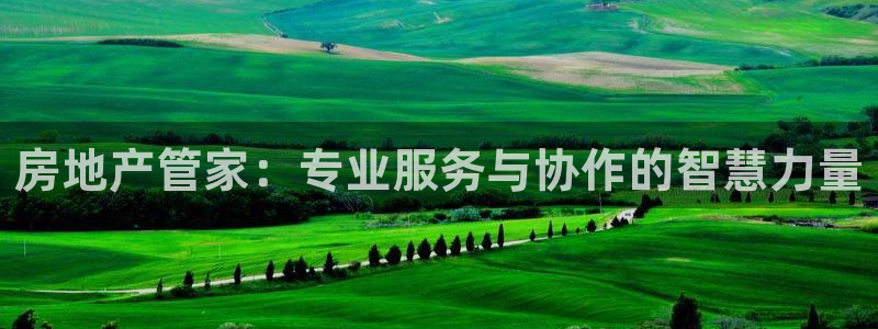 摩登7app下载：房地产管家：专业服务与协作的智慧力量
