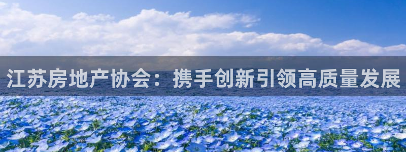摩登7平台主管：江苏房地产协会：携手创新引领高质量发展