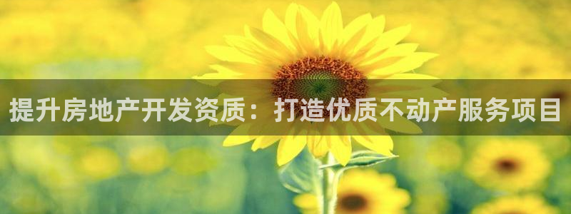 摩登招商虍金手指排名7：提升房地产开发资质：打造优质不动产服