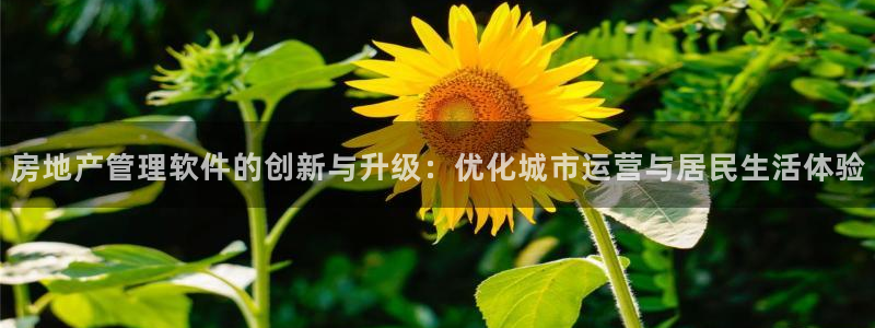 摩登7岁：房地产管理软件的创新与升级：优化城市运营与居民生活