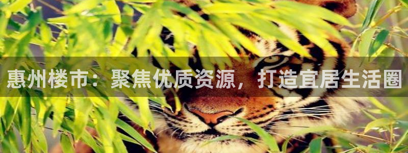 摩登6张7O667：惠州楼市：聚焦优质资源，打造宜居生活圈