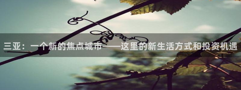7牌摩登：三亚：一个新的焦点城市——这里的新生活方式和投资机