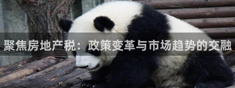 摩登7平台下载：聚焦房地产税：政策变革与市场趋势的交融