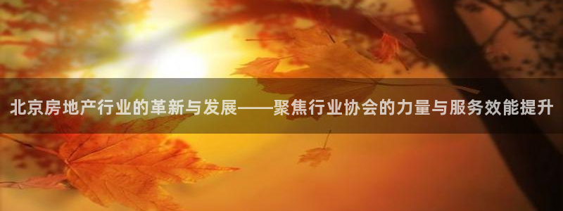 摩登 7：北京房地产行业的革新与发展——聚焦行业协会的力量与