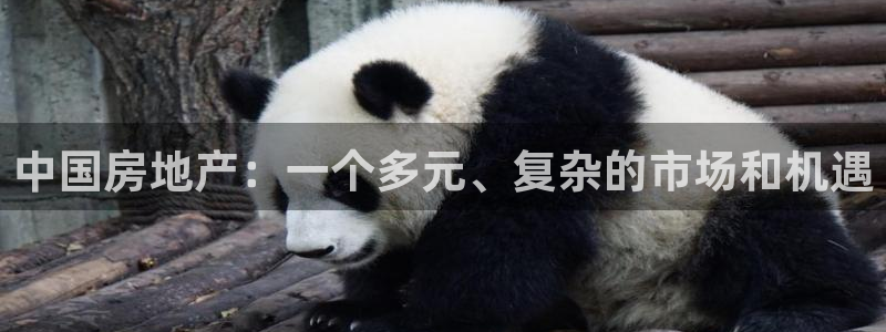 摩登平台视7O777：中国房地产：一个多元、复杂的市场和机遇