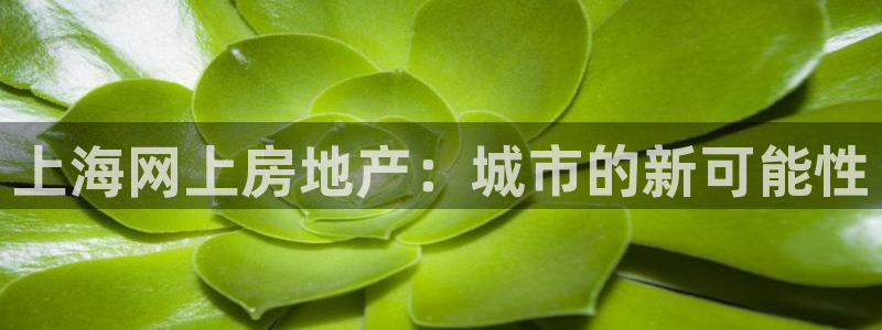 摩登6冯这7O667：上海网上房地产：城市的新可能性