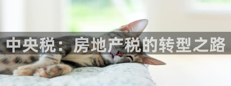 摩登7平台总代理：中央税：房地产税的转型之路