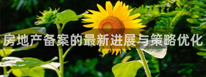 摩登5周这7O667：房地产备案的最新进展与策略优化