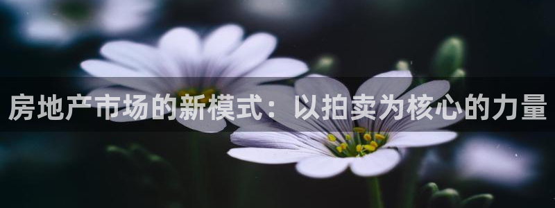 摩登7平台登录网址：房地产市场的新模式：以拍卖为核心的力量