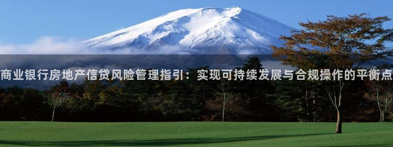 摩登4左7O667：商业银行房地产信贷风险管理指引：实现可持