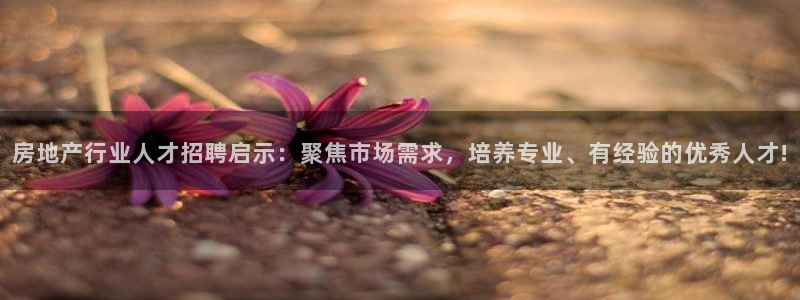 摩登7登录注册：房地产行业人才招聘启示：聚焦市场需求，培养专