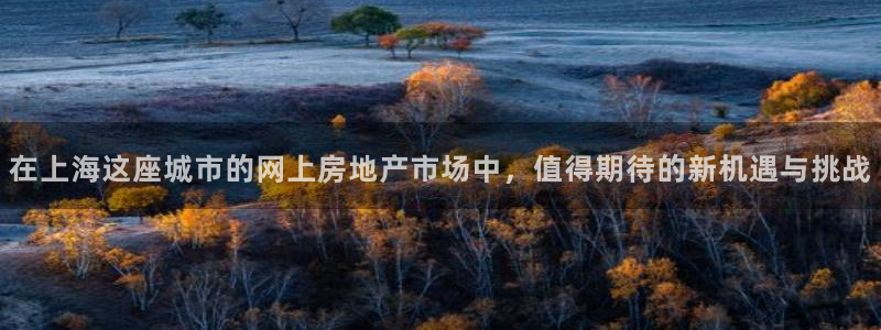 摩登7注册帐号：在上海这座城市的网上房地产市场中，值得期待的
