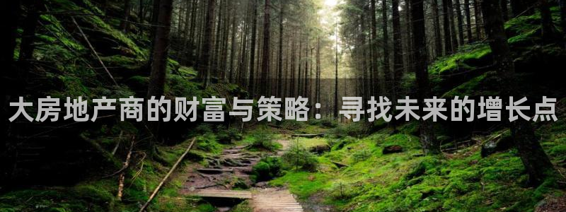 摩登7娱乐怎么样：大房地产商的财富与策略：寻找未来的增长点
