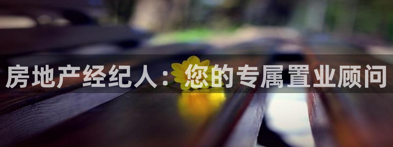 摩登7日7O667：房地产经纪人：您的专属置业顾问