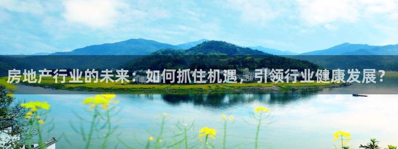 摩登7主管亲333OO：房地产行业的未来：如何抓住机遇，引领