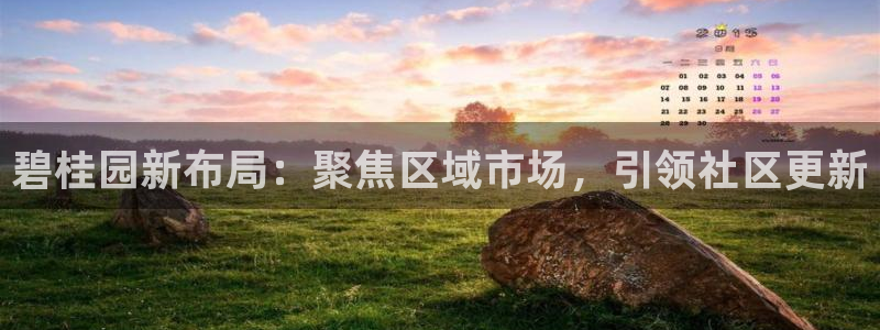 摩登7平台代理：碧桂园新布局：聚焦区域市场，引领社区更新