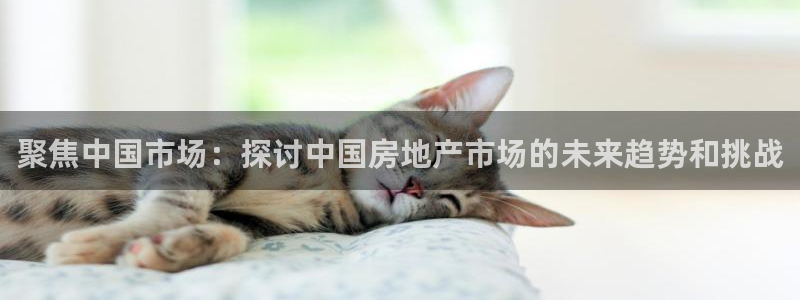 摩登7夜判官333OO：聚焦中国市场：探讨中国房地产市场的未