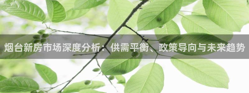 摩登7去3299O7：烟台新房市场深度分析：供需平衡、政策导