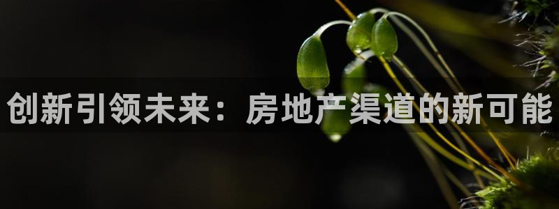 摩登7平台登陆：创新引领未来：房地产渠道的新可能