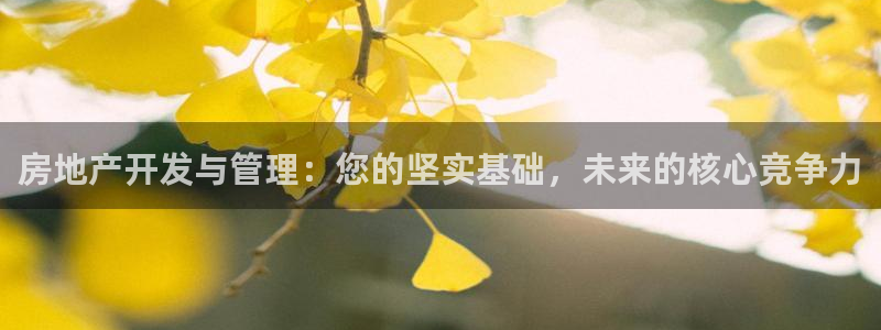 摩登7网站排名：房地产开发与管理：您的坚实基础，未来的核心竞
