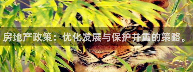 摩登7月7O667：房地产政策：优化发展与保护并重的策略。