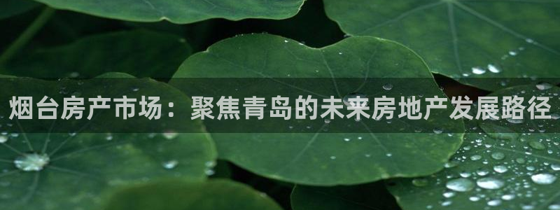 摩登7官网六柒五I38：烟台房产市场：聚焦青岛的未来房地产发