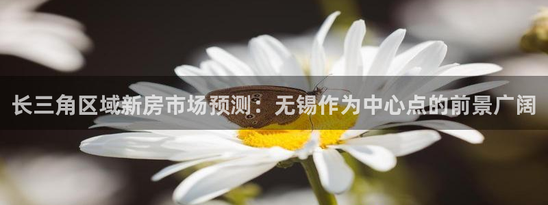 摩登7注册登录：长三角区域新房市场预测：无锡作为中心点的前景