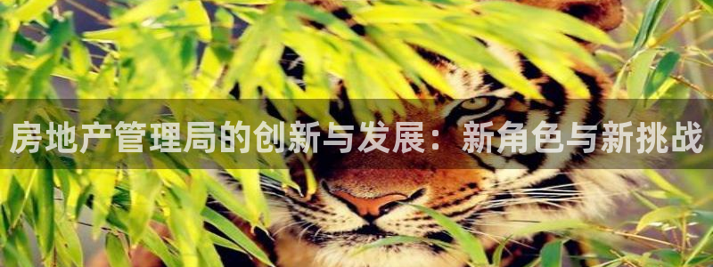 摩登7平台：房地产管理局的创新与发展：新角色与新挑战