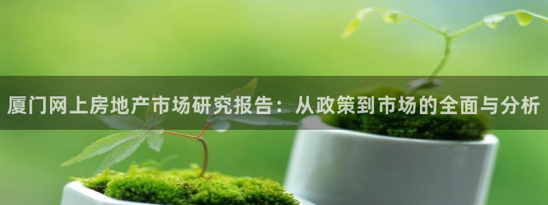 摩登招商臼金手指专业7：厦门网上房地产市场研究报告：从政策到
