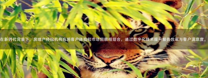 摩登7级：在新时代背景下，房地产经纪机构应将客户体验和市场洞