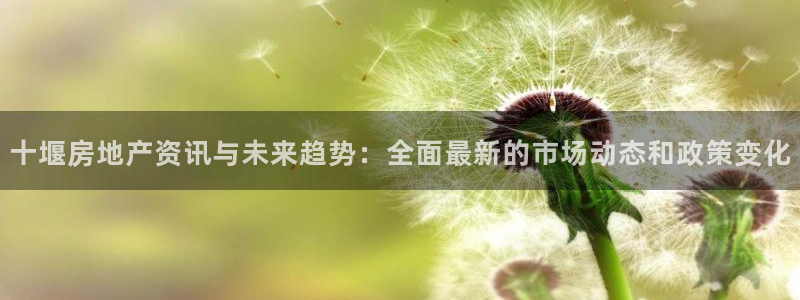摩登5施7O667：十堰房地产资讯与未来趋势：全面最新的市场