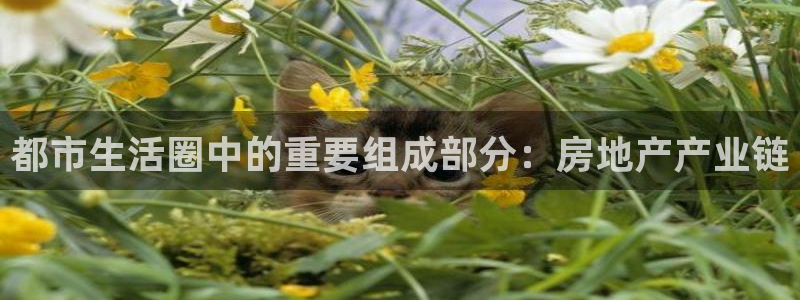 摩登精品7：都市生活圈中的重要组成部分：房地产产业链