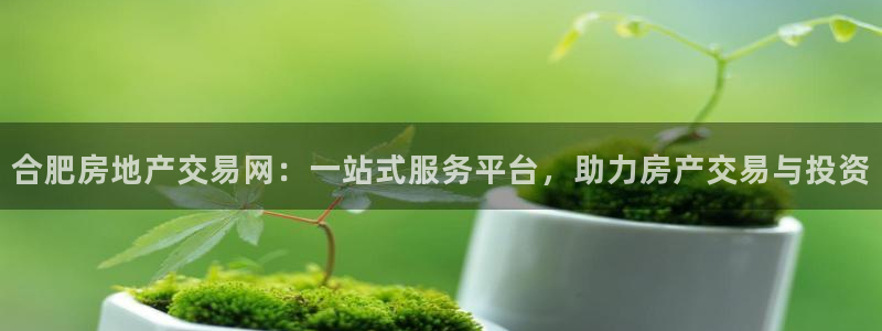 摩登7彩票平台是啥：合肥房地产交易网：一站式服务平台，助力房