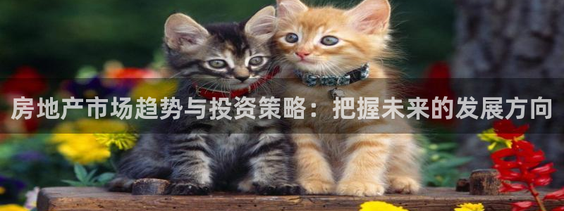 摩登7点：房地产市场趋势与投资策略：把握未来的发展方向